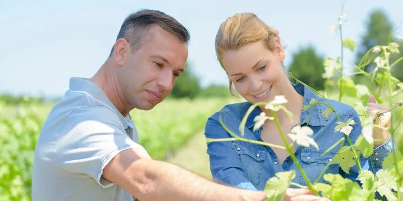 Rencontre femme milieu rural